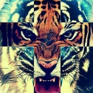 Meet your Posher, Alberto